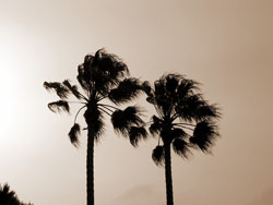 PHOTO DREAMS 0054