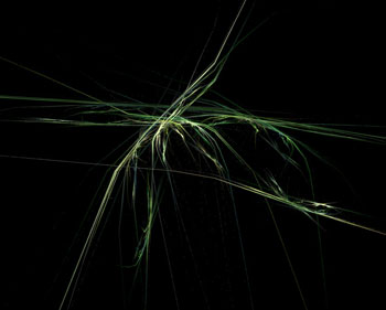 Jedi Simon Fractals 099