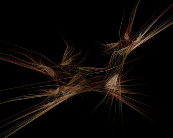 Jedi Simon Fractals 101