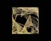 Jedi Simon Fractals 010