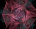 Jedi Simon Fractals 033