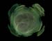 Jedi Simon Fractals 044
