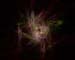 Jedi Simon Fractals 060