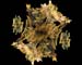 Jedi Simon Fractals 091