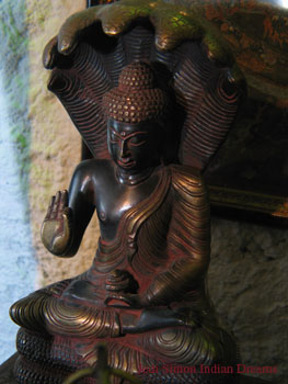 india 040