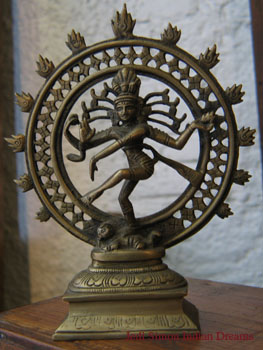 india 049
